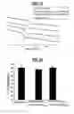 Fig. 13 - Radioopaque, iodine functionalized phenylalanine-based poly(ester urea)s