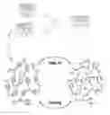 Fig. 01 - Stimulus-responsive supramolecular glasses
