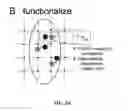 Fig. 03 - Three-dimensional nanofabrication by patterning of hydrogels
