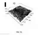 Fig. 06 - Three-dimensional nanofabrication by patterning of hydrogels
