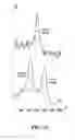 Fig. 12 - Three-dimensional nanofabrication by patterning of hydrogels