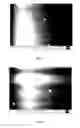Fig. 23 - Three-dimensional nanofabrication by patterning of hydrogels
