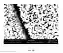 Fig. 26 - Three-dimensional nanofabrication by patterning of hydrogels