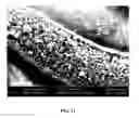Fig. 27 - Three-dimensional nanofabrication by patterning of hydrogels
