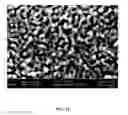 Fig. 28 - Three-dimensional nanofabrication by patterning of hydrogels