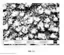 Fig. 29 - Three-dimensional nanofabrication by patterning of hydrogels