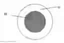 Fig. 01 - Heat-expandable microspheres, process for producing the same and application thereof