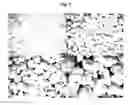 Fig. 06 - Method for the production of granules comprising surface-reacted calcium carbonate