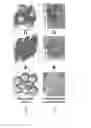 Fig. 03 - Ink compositions for three-dimensional printing and methods of forming objects using the ink compositions