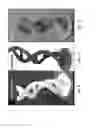 Fig. 04 - Ink compositions for three-dimensional printing and methods of forming objects using the ink compositions