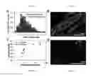 Fig. 04 - Methods for preparation of concentrated graphene ink compositions and related composite materials