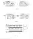 Fig. 03 - Liquid crystal composition, liquid crystal display device and its manufacturing method