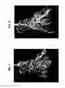 Fig. 05 - Rapid growth activator