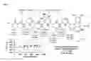 Fig. 02 - COMPOSITION AND METHOD FOR CONTROLLING INSECTS AND MICROORGANIMS USING PSEUDOMONAS TAIWANENSIS