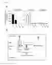 Fig. 04 - COMPOSITION AND METHOD FOR CONTROLLING INSECTS AND MICROORGANIMS USING PSEUDOMONAS TAIWANENSIS