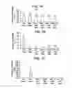 Fig. 02 - DIFFERENTIATION OF HUMAN EMBRYONIC STEM CELLS