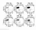 Fig. 08 - DIFFERENTIATION OF HUMAN EMBRYONIC STEM CELLS