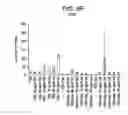 Fig. 19 - DIFFERENTIATION OF HUMAN EMBRYONIC STEM CELLS