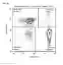 Fig. 10 - Methods and compositions for activation or expansion of T lymphocytes