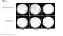 Fig. 30 - Methods and compositions for activation or expansion of T lymphocytes