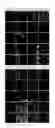 Fig. 06 - Method for inducing differentiation of insulin-producing cells