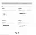Fig. 09 - DNA polymerases