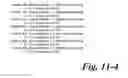 Fig. 19 - DNA polymerases