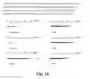 Fig. 30 - DNA polymerases