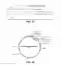 Fig. 20 - Thermostable carbonic anhydrases and methods of use thereof