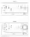 Fig. 26 - Purification of nucleic acids using copper-titanium oxides