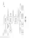 Fig. 17 - Oligonucleic acid variant libraries and synthesis thereof
