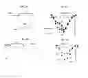 Fig. 03 - Methods for modulating KLHL1 levels, methods for modulating current activity in T-type calcium channels, molecules therefor, and methods for identifying molecules therefor