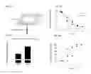 Fig. 05 - Methods for modulating KLHL1 levels, methods for modulating current activity in T-type calcium channels, molecules therefor, and methods for identifying molecules therefor