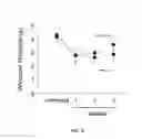 Fig. 09 - Methods for modulating KLHL1 levels, methods for modulating current activity in T-type calcium channels, molecules therefor, and methods for identifying molecules therefor