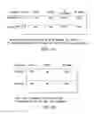 Fig. 16 - METHODS AND COMPOSITIONS FOR INCREASING EFFICIENCY OF TARGETED GENE MODIFICATION USING OLIGONUCLEOTIDE-MEDIATED GENE REPAIR