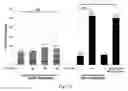 Fig. 02 - METHODS OF IMPROVING NUCLEASE MEDIATED HOMOLOGOUS RECOMBINATION