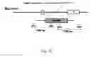Fig. 08 - METHODS OF IMPROVING NUCLEASE MEDIATED HOMOLOGOUS RECOMBINATION