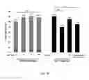 Fig. 14 - METHODS OF IMPROVING NUCLEASE MEDIATED HOMOLOGOUS RECOMBINATION