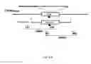 Fig. 15 - METHODS OF IMPROVING NUCLEASE MEDIATED HOMOLOGOUS RECOMBINATION