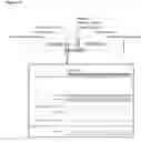 Fig. 30 - Adeno-associated virus vector variants for high efficiency genome editing and methods thereof