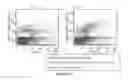 Fig. 49 - Adeno-associated virus vector variants for high efficiency genome editing and methods thereof