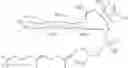 Fig. 43 - MOENOMYCIN BIOSYNTHESIS-RELATED COMPOSITIONS AND METHODS OF USE THEREOF