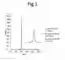 Fig. 02 - Method for the production of domain antibodies