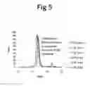 Fig. 06 - Method for the production of domain antibodies