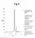 Fig. 09 - Method for the production of domain antibodies
