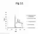 Fig. 12 - Method for the production of domain antibodies