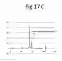 Fig. 20 - Method for the production of domain antibodies