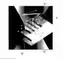 Fig. 01 - Method for sensitively and selectively sensing avian influenza virus using terahertz electromagnetic waves and device used therefor