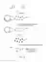 Fig. 06 - Probe set for analyzing a DNA sample and method for using the same