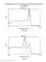 Fig. 13 - POLYMERIZATION OF NUCLEIC ACIDS USING ACTIVATION BY POLYPHOSPHOROLYSIS (APP) REACTIONS